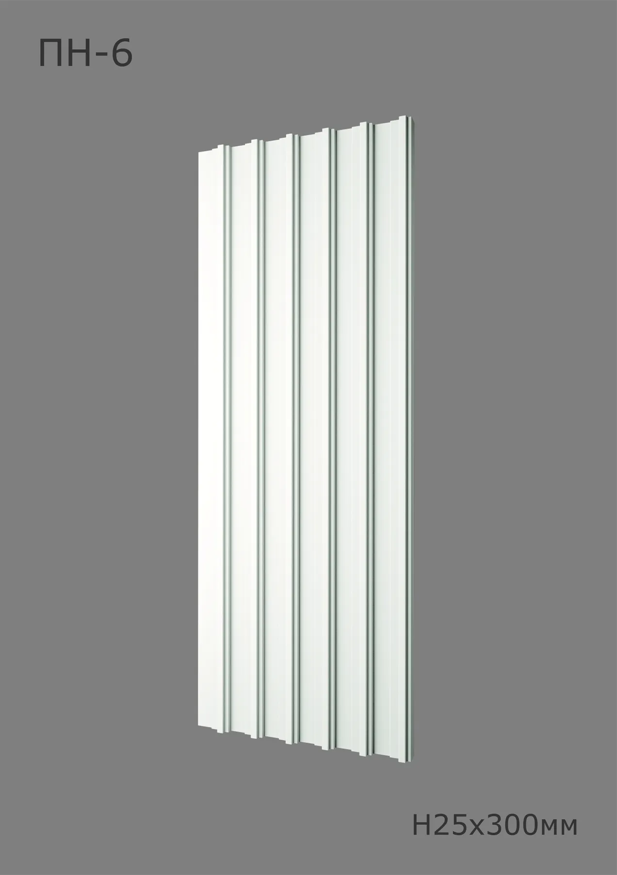 Титан ПН-6 Ширина 300мм. Глубина 25мм. Высота 1000мм. 