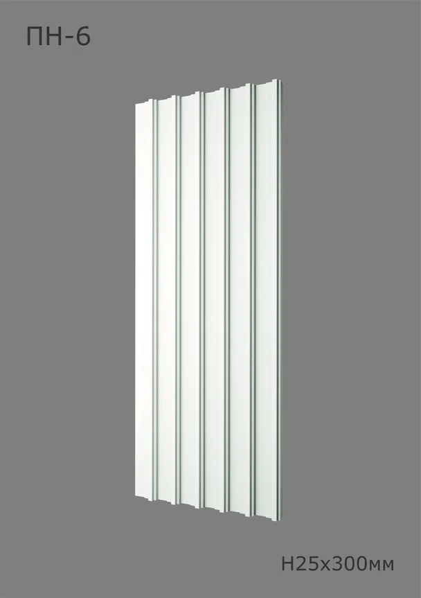 Титан ПН-6 Ширина 300мм. Глубина 25мм. Высота 1000мм. 